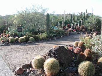 View of the entrance to the cactus garden